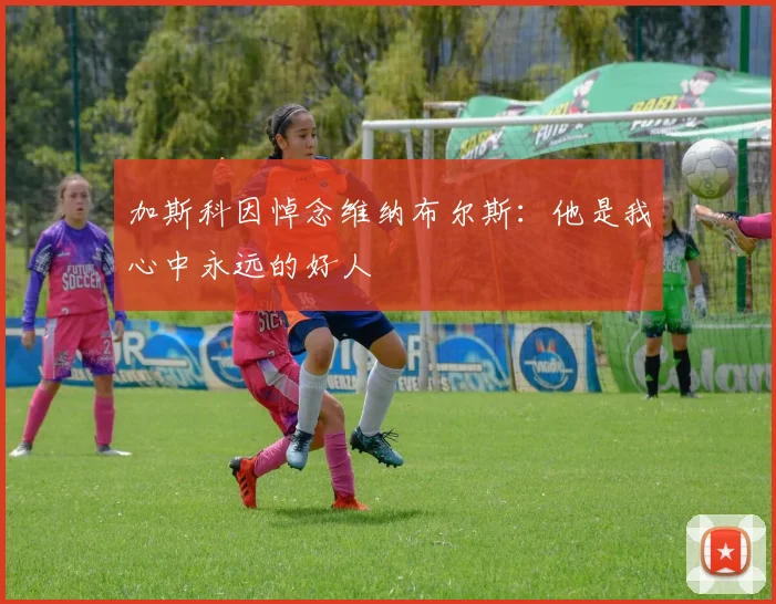 加斯科因悼念维纳布尔斯：他是我心中永远的好人