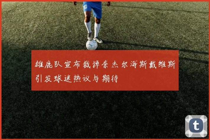 雄鹿队宣布裁掉奈杰尔海斯戴维斯引发球迷热议与期待