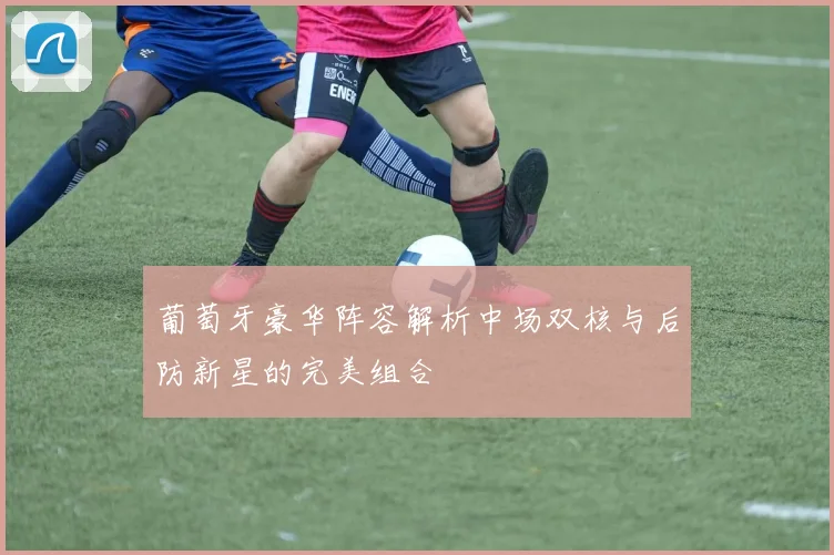 葡萄牙豪华阵容解析中场双核与后防新星的完美组合