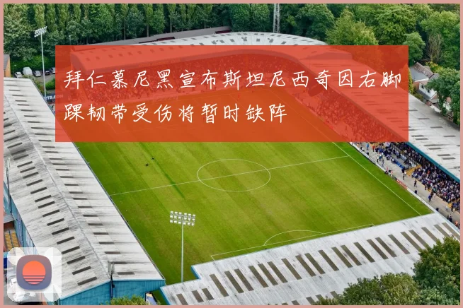 拜仁慕尼黑宣布斯坦尼西奇因右脚踝韧带受伤将暂时缺阵