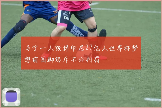 马宁一人毁掉印尼27亿人世界杯梦想前国脚怒斥不公判罚